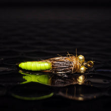 Load image into Gallery viewer, 3 Caddis pupa