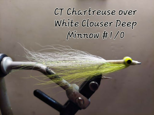 CT Clouser Deep Minnow