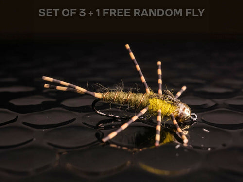 3 Stoneflies + 1 FREE random fly