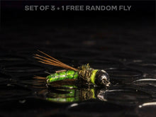 Load image into Gallery viewer, 3 caddis pupa + 1 FREE random fly