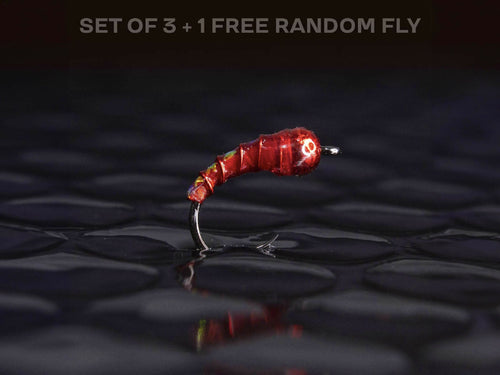 3 bloody midge + 1 FREE random fly