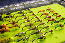 Load image into Gallery viewer, 40 high quality euro nymphing flies in a fly box