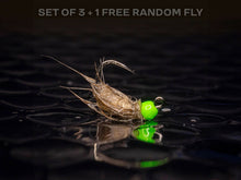 Load image into Gallery viewer, 3 peeping caddis + 1 FREE random fly