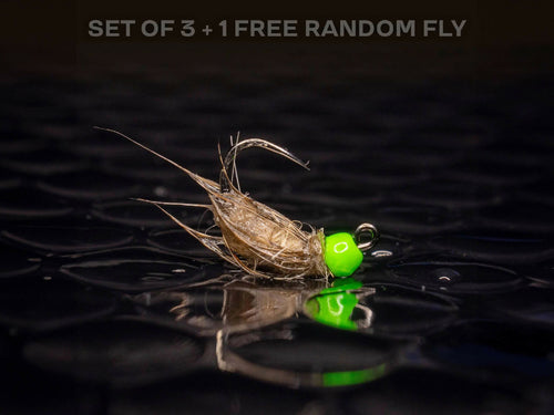 3 peeping caddis + 1 FREE random fly