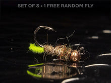 Load image into Gallery viewer, 3 hot spot caddis + 1 FREE random fly