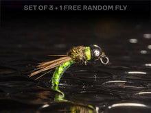 Load image into Gallery viewer, 3 caddis pupa + 1 FREE random fly