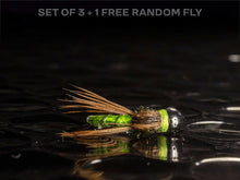 Load image into Gallery viewer, 3 caddis pupa + 1 FREE random fly