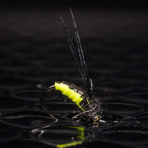 3 Caddis pupa