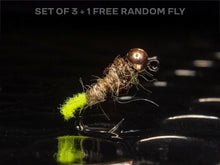 Load image into Gallery viewer, 3 hot spot caddis + 1 FREE random fly