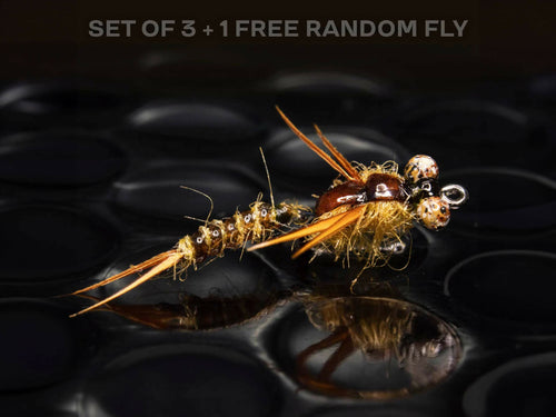 3 articulated nymphs + 1 FREE random fly