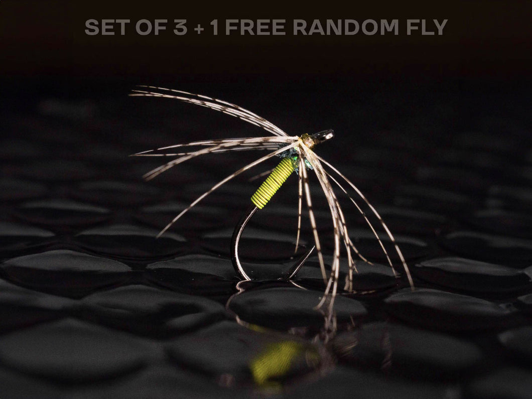 3 Soft hackle + 1 FREE random fly