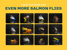 Load image into Gallery viewer, salmon