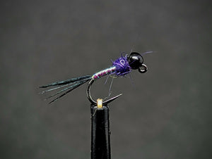 Night Warrior Jig