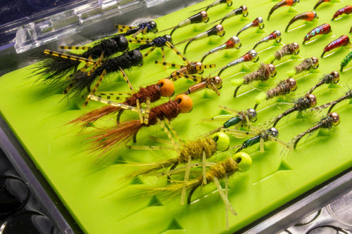 40 high quality euro nymphing flies in a fly box