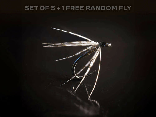 3 Soft hackle + 1 FREE random fly