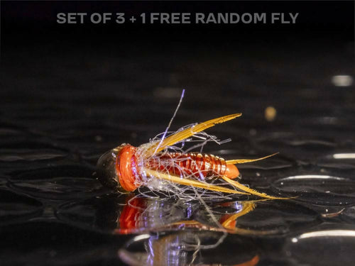 3 egg laying prince nymphs + 1 FREE random fly