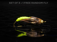 Load image into Gallery viewer, 3 Caddis pupa