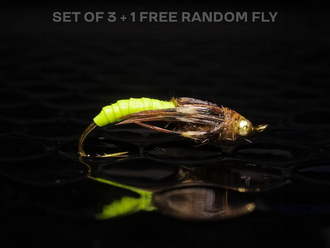 3 Caddis pupa