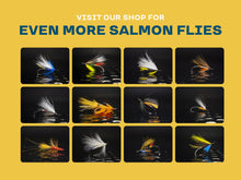 Load image into Gallery viewer, salmon