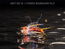 Load image into Gallery viewer, 3 egg laying prince nymphs + 1 FREE random fly