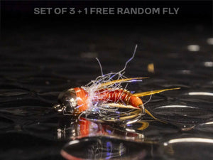 3 egg laying prince nymphs + 1 FREE random fly