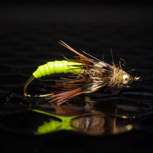 3 Caddis pupa