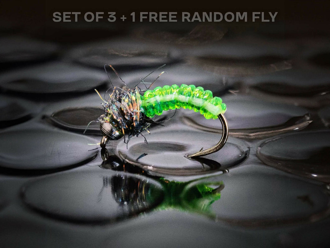 3 Caddis larva + 1 FREE random fly