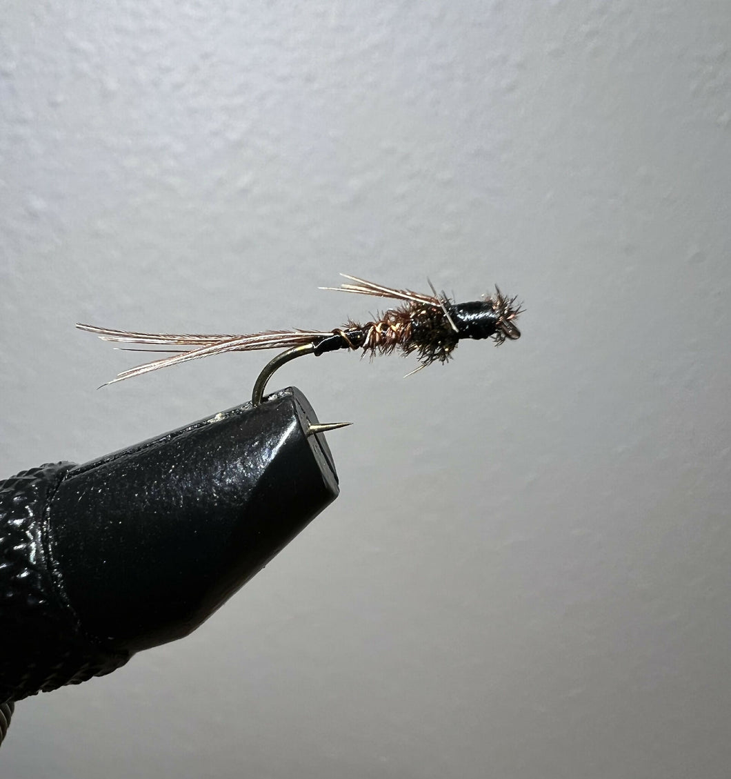 Pheasant Tail Nymph