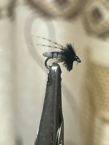 Poopah Gray Caddis