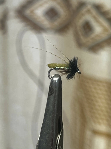 Poopah Olive Caddis