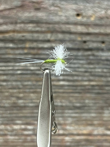 BWO Spinner