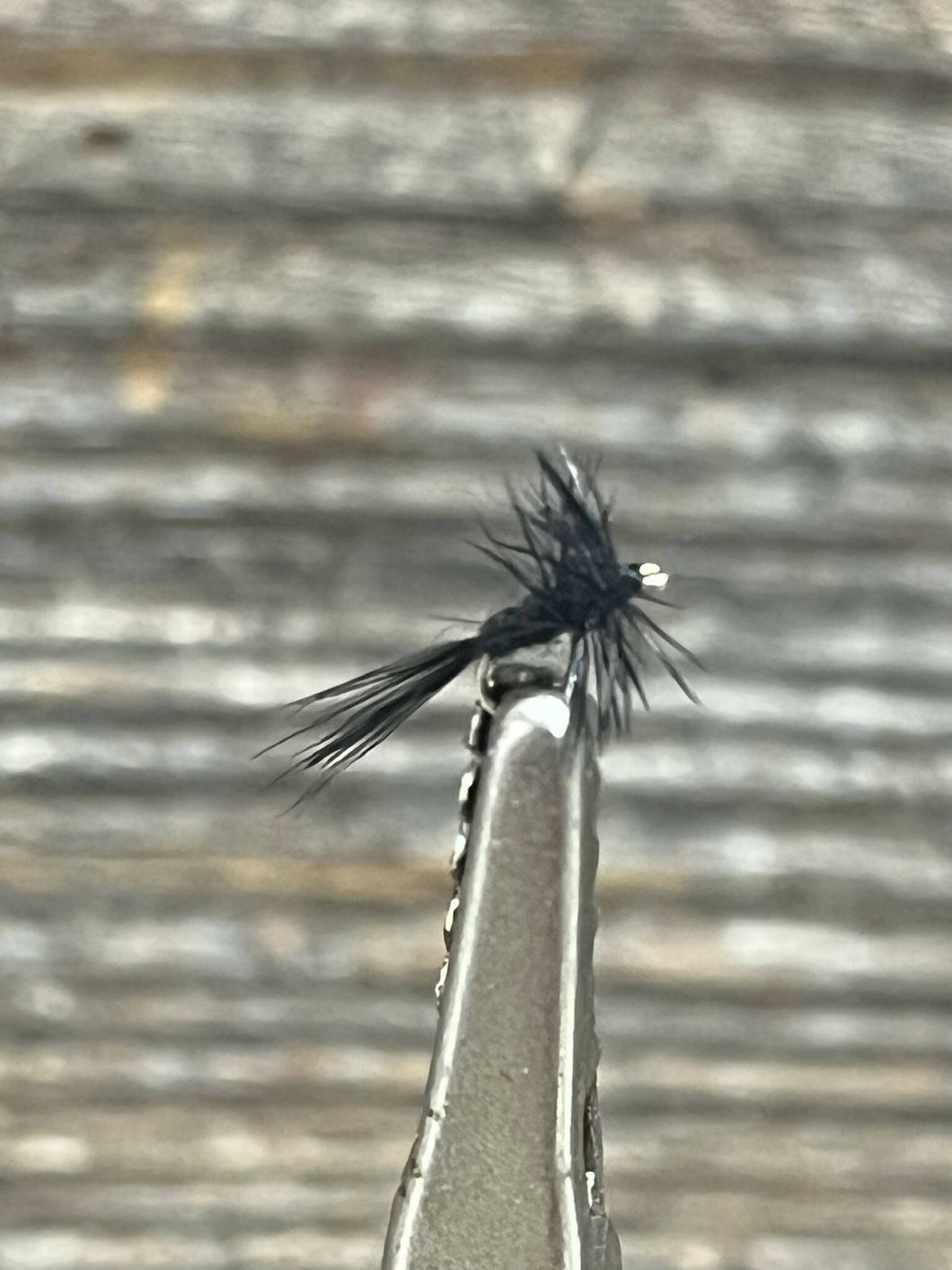 Black Midge