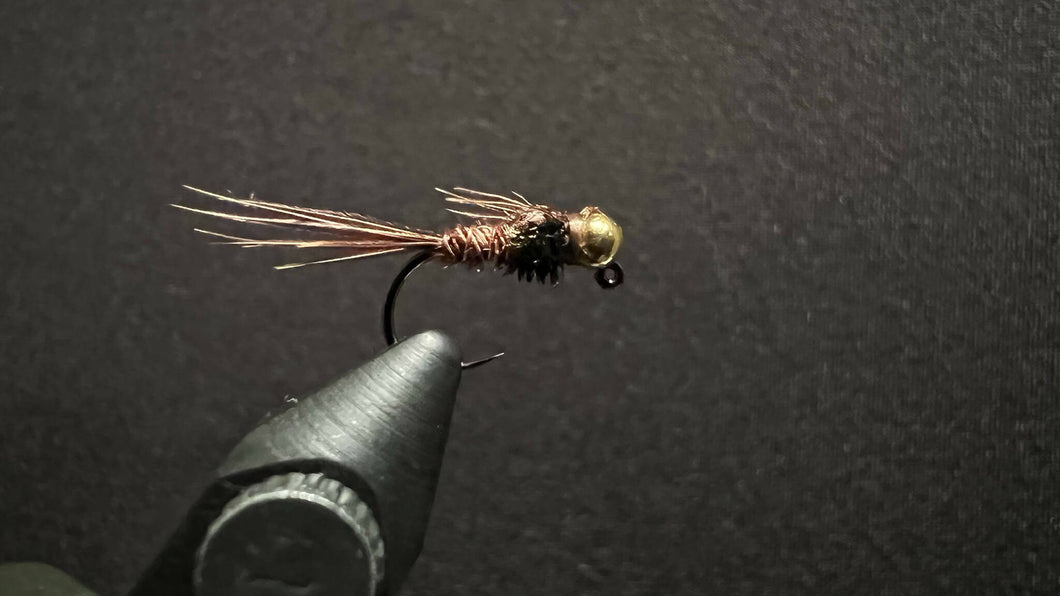 Pheasant Tail Jig Nymph