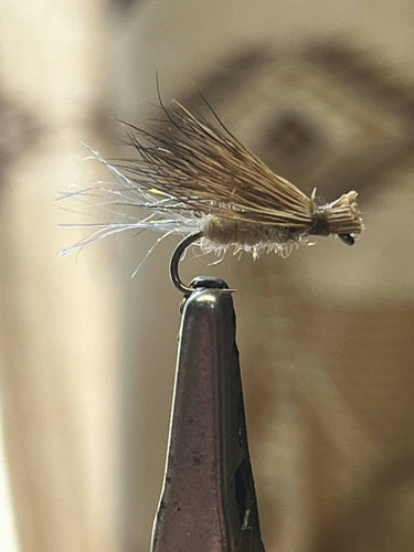 Tan X-Caddis